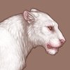 Achromatic Tigon!